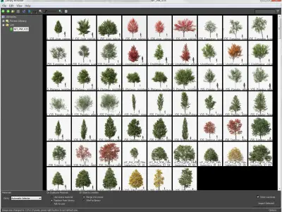 Street tree Collection - Include GrowFX and Mesh file  3D model