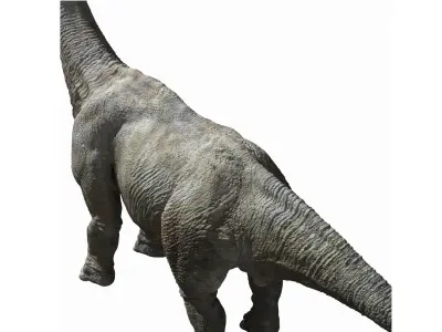  Brachiosaurus Rigged 3D 