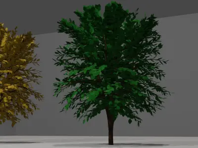 Trees four 3D model