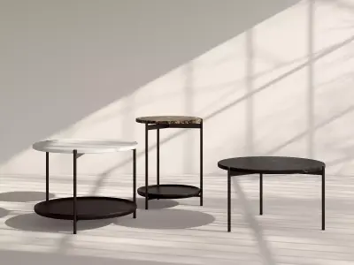 Plateau Round Coffee Table 3D model