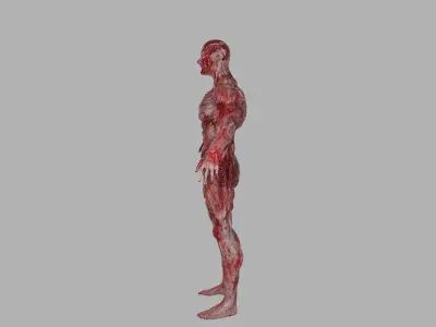 Buffed Mutant Low-poly 3D model