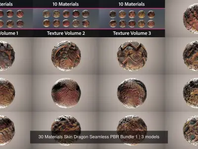 30 Materials Skin Dragon Seamless PBR Bundle 1 Texture