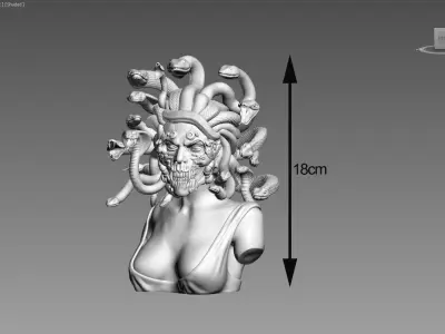 Medusa robot skull bust Cyborg medusa skull robot 3D print model