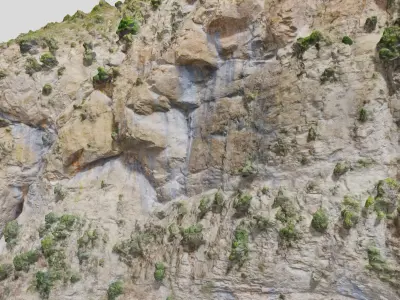 Mountain Cliff Side Bush Photoscan PBR Low-poly 3D model