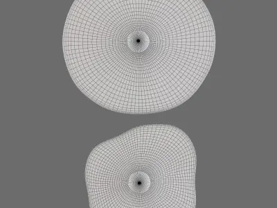Flammulina Bra Wall Lamp 3D model