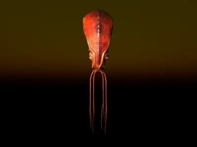 Nautilus head of snake Low-poly 3D model