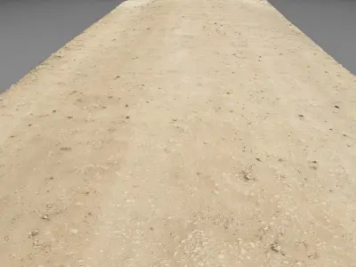 Spring road raw scan 3D model