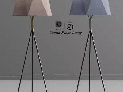 Usona Floor Lamp 3D model
