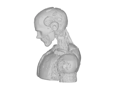 Game Ready Sci Fi Android Robot Head Cybernetic Character 3D model