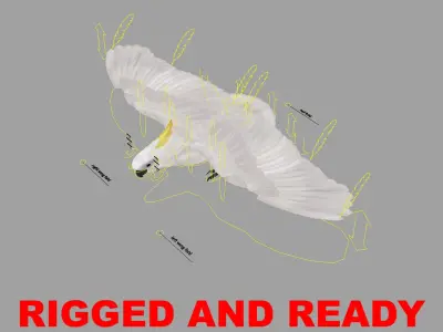  Cacatua Galerita 'Sulphur-crested Cockatoo Parrot' 