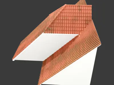 Realistic Roof Collections 20 3D model