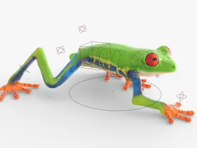  Red Eyed Tree Frog Animated Rigged for Blender Collection 