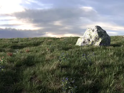 Field herbs 3 grass 3D model