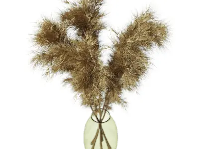 pompas bouquet Low-poly 3D model