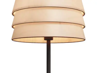 Modern Wooden Floor Lamp 3D Model   3D model