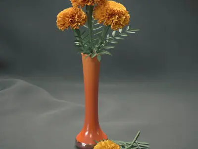 Marigolds 