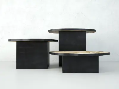 Petrified Wood Slice Coffee Tables 8 3D model