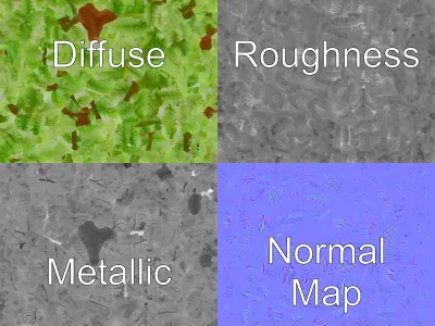 Detailed Asplenium Fern Foliage D Model Pack Low-poly 3D model