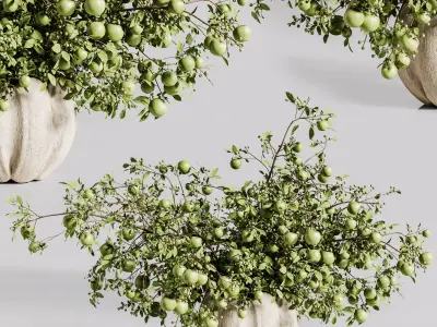  apple bouquet plants bouquet vase 34 3D model