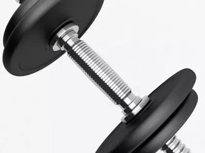 Dumbbell pair of dumbbells 3D model