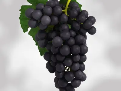 Grapes Black and Blue Low-poly 3D model