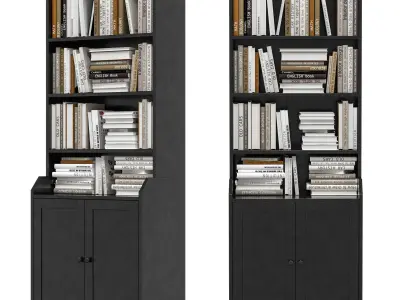 IKEA - HAUGA Tall cabinet with 2 doors and books 3D model