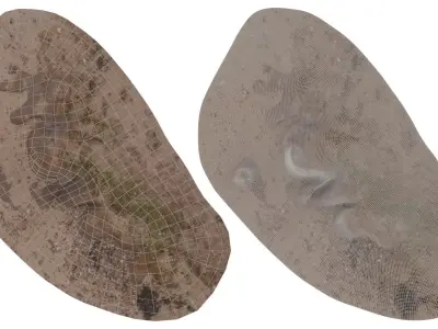 Beach Mud Ripple - High and Low Poly versions Low-poly 3D model