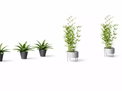 Modern Potted Plants Pack 5 plants 3D print model