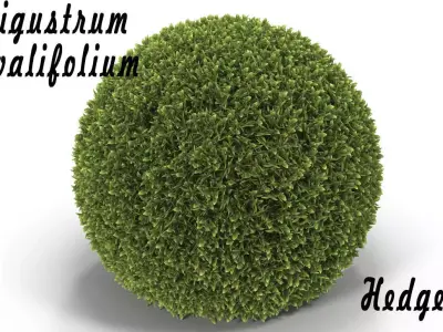 Hedge Sphere 3D model