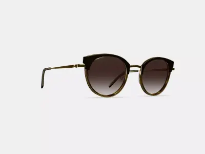 Angelise Sunglasses in Layered Marzipan Tortoise with Polished  3D model