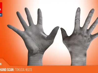 Retopologized Hand Scan | 3D Model Tokuda Heizo