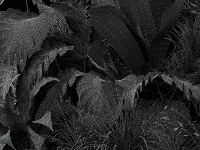  Plants collection 445 