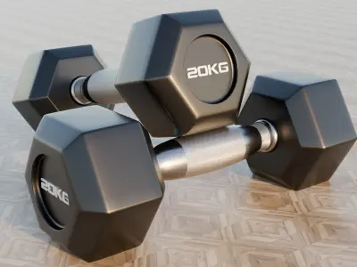 Dumbells 5-30KG  3D model