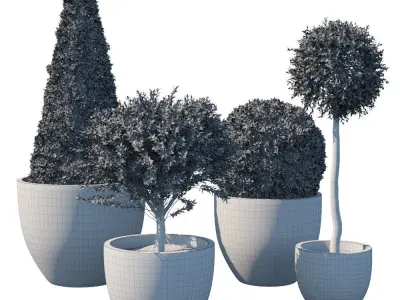 Street bush in a box III 3D model