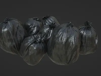 Plastic Bags 3D model