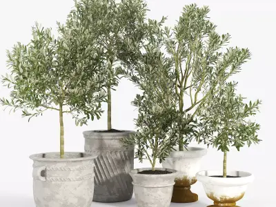 Eclectic Villa Planters 2 3D model