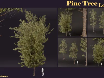 SJ-lowpoly pine tree set 01 Low-poly 3D model