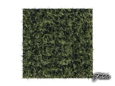 Grass patch 01 3D model