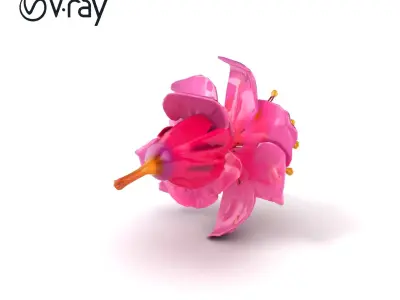 Lonicera Pink Botanical Representation model pack Low-poly 3D model