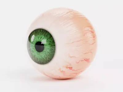 Human Eyeball with Green Iris - Realistic Anatomy 3D model