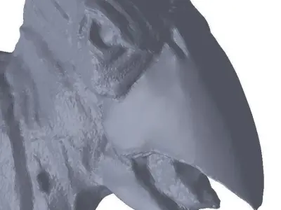 Kroot Bird - remodeled 3D print model