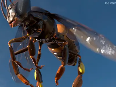  Midair Pollen Bee Animated Rigged For Blender 