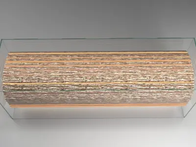 Reception Desk - Sliced Log In Glass Box With Inner Lights 3D model