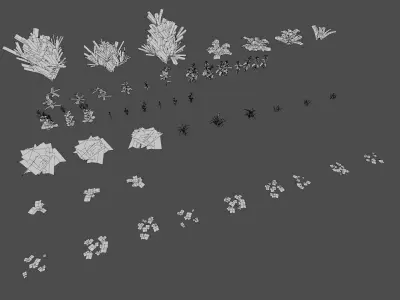 Forest Plant set Low-poly 3D model