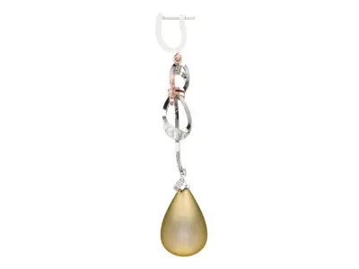 Light Weight Gold Diamond Earring  -earr27 3D print model