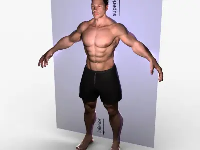 Planes of Body Rigged 3D model