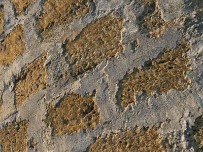 8k Seamless PBR Coquina Block Material Texture