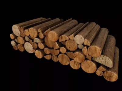 Firewood Logs 3D model