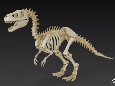 Velociraptor fossil Low-poly 3D model