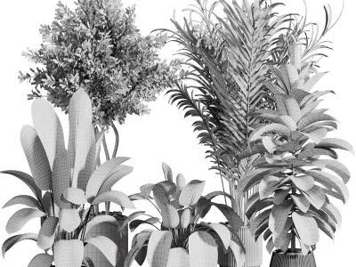  indoor plant 572 3D model